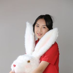 阳光彩虹小白马（童声版）