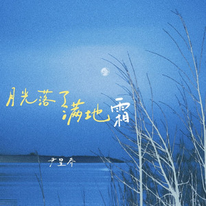 月光落了满地霜（伴奏）