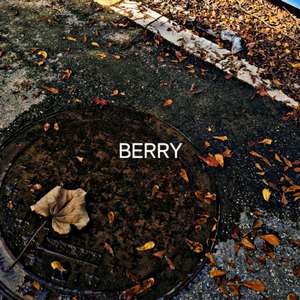 李佳隆-BERRY（神龙 remix）