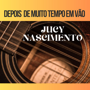 DEPOIS DE MUITO TEMPO EM VÃO