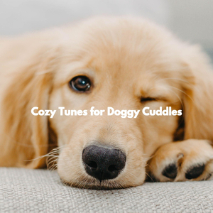 Modern Bossa Nova Guitars and Jazz Organ - Vibe for Infinite Study