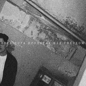 Пролетая над гнездом