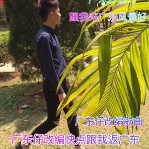 跟我来广东(KTV版伴奏)
