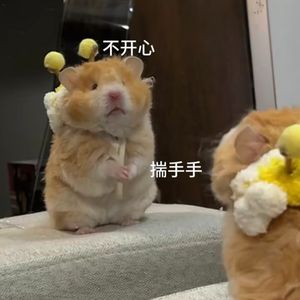 但爱情故事