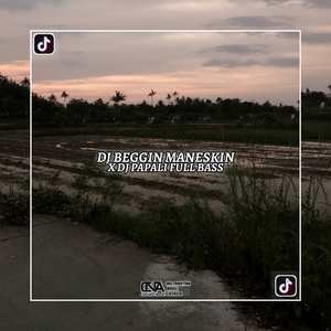 DJ BEGGIN MANESKIN X DJ PAPALI!!!-Inst