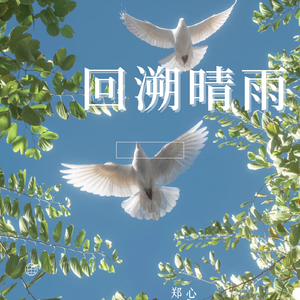 等到天晴雨也停