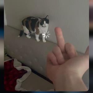 (. (.)