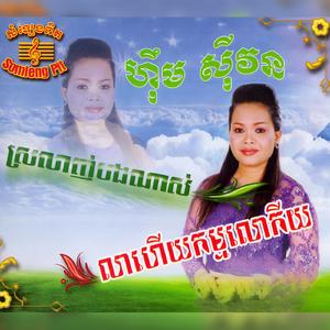 អូនស្នេហ៍តែបងមួយ