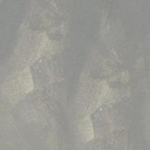 【Free】“4C”Guitar Drill Beat