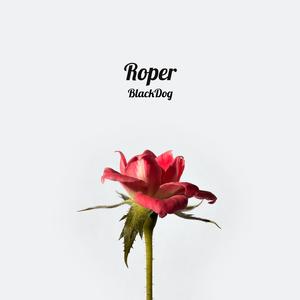 Roper