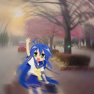 花瓣飘落/luv falling