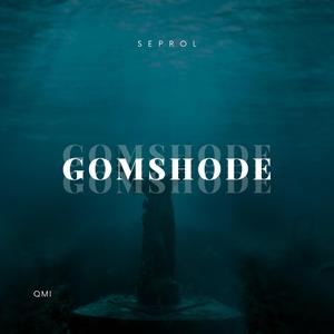 Gomgashte (feat. Stalker_7799)