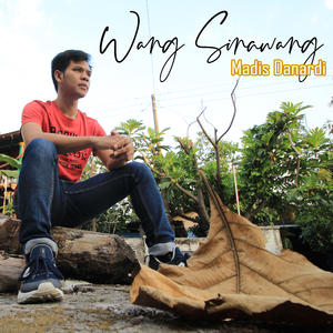 Wang Sinawang