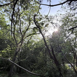 暗巷的低沉回响