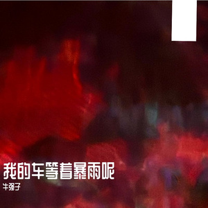 我的车等着暴雨呢