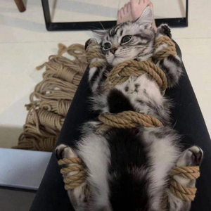Не было