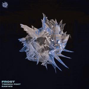 Frost (feat. Rawwb)