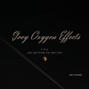 山茱萸（cornel）