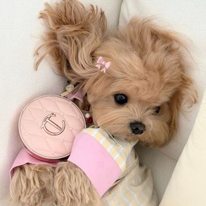 The Meeting (slowed)