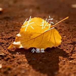 失控 (Cover 失控)