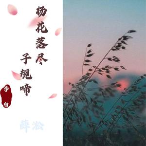 杨花落尽子规啼