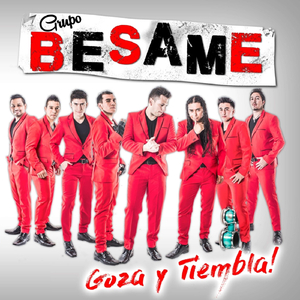 Besadora
