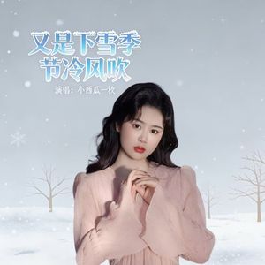 又是下雪季节冷风吹