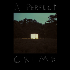 A Perfect Crime