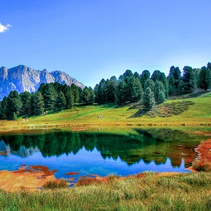 放松好心情 (自然轻音乐)