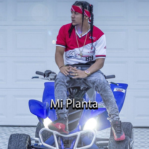 Mi Planta