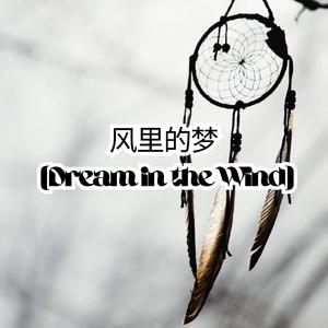 风里的梦 (Dream in the Wind)