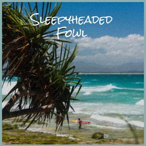 Wakefulness