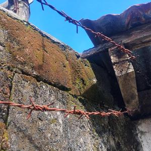 i need so many things and they are all you (Demo)