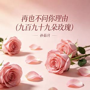 再也不问你理由（九百九十九朵玫瑰）
