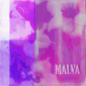 Malva