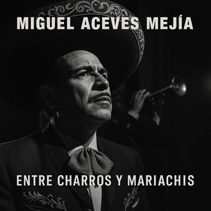 Gritenme Piedras del Campo