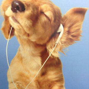 counting star (sped up)