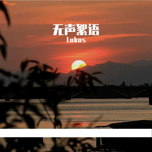 量子态显共鸣箱