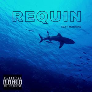 Requin (feat. Manoks)