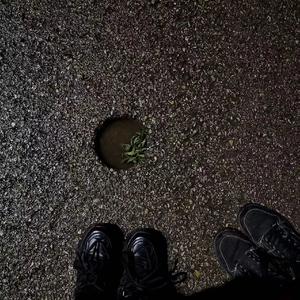 牵丝戏(0.85x氛围感)