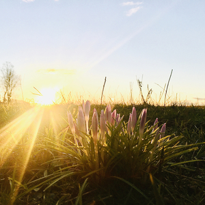 Viele Monde (Laberlaber 11 - Auf zu neuen Taten)