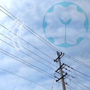 非此界的青之频率