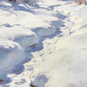 雪花别为我难过