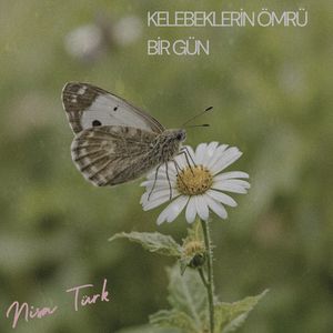 Kelebeklerin Ömrü Bir Gün