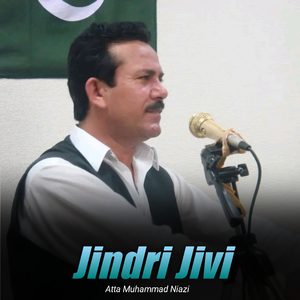 Jindri Jivi