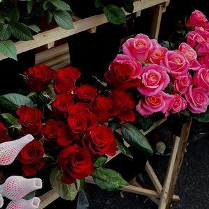 你的情歌（Prod.yon）