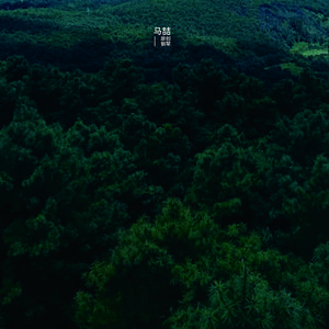 清晨的梦|原创钢琴|雁归 (助眠解压|治愈疗伤|纯音乐|治愈神曲)