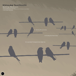 Long Tailed Tit (inspired kinetic flight mix)