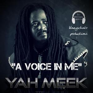 A Voice In Me (feat. Yah Meek)