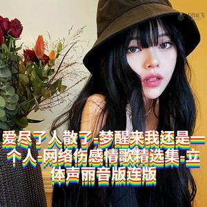 DJ国飞-爱尽了人散了-梦醒来我还是一个人-网络伤感情歌精选集（DJ国飞 remix）